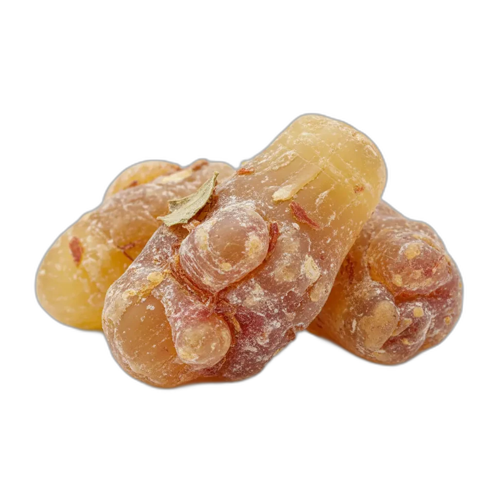 Boswellia serrata — pflanzliches Extrakt mit traditionellem Einsatz